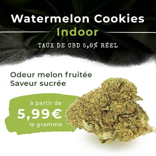 fleurs cbd acheter watermelon cookies indoor pas cher livraison express